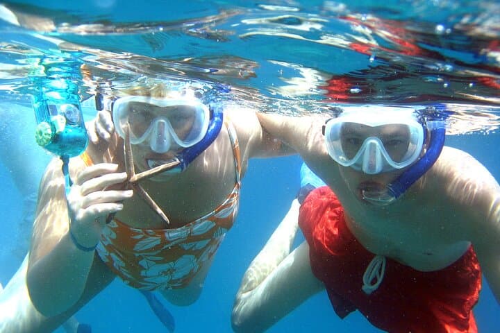 Cabo Highlights: Sail, Snorkel, Taste and Explore the Arch in a Day photo 4
