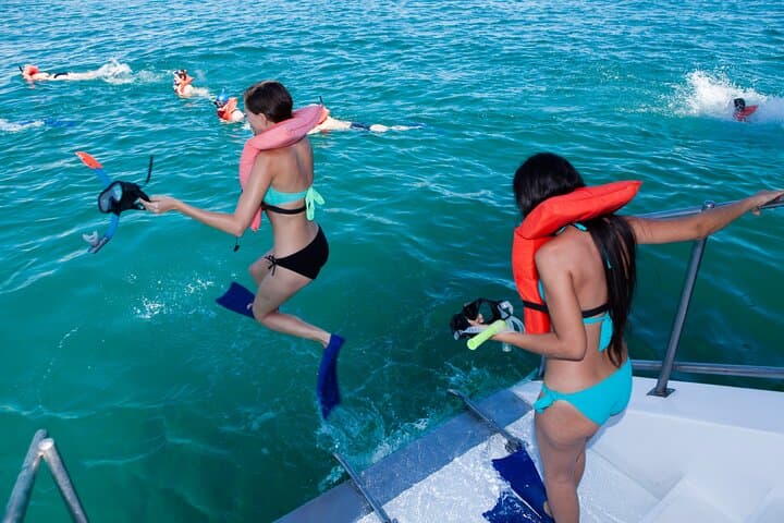 Cabo Highlights: Sail, Snorkel, Taste and Explore the Arch in a Day