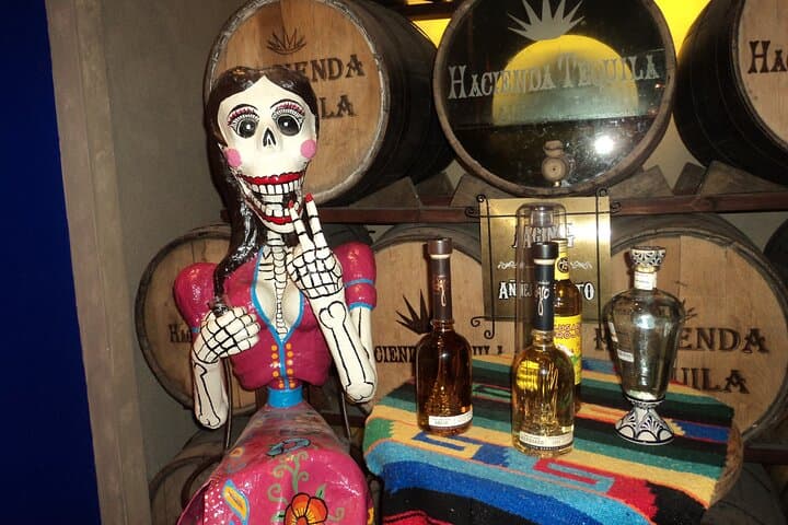 Cabo Highlights: Sail, Snorkel, Taste and Explore the Arch in a Day photo 3