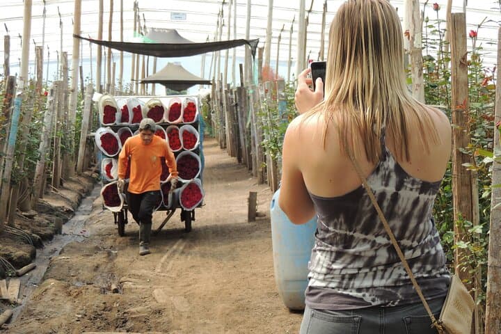 Otavalo Indian Market & Cuicocha Day Tour from Quito: Roses, Markets and Highland Lakes photo 2