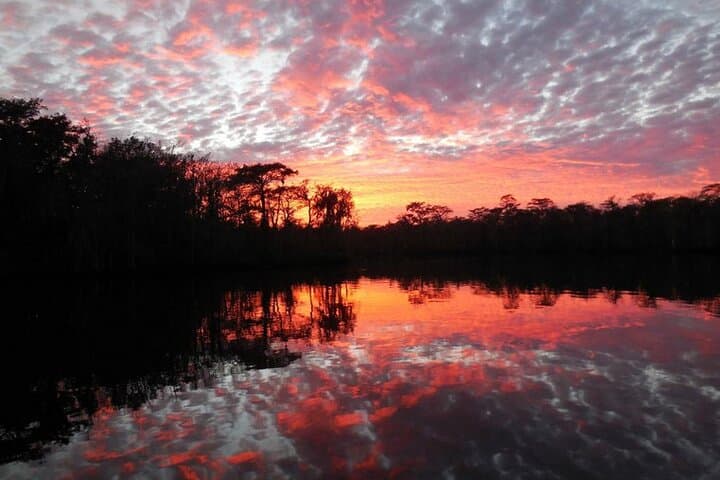 Waccamaw River Nature and Wildlife Boat Tour from Myrtle Beach photo 6