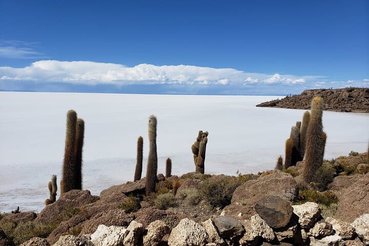 3-Day Private Salar de Uyuni Tour with Tayka Hotels: Salt Flats, Colored Lagoons & Geothermal Wonders photo 2