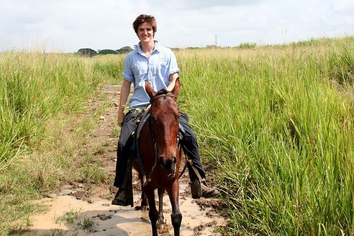 Horseback Riding Near Cali: Cloud-Forest Trails & Sugarcane Gallops photo 4
