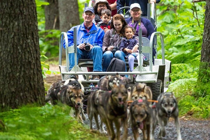 Behind the Gangline: Turning Heads Kennel Dogsledding Experience in Seward photo 6