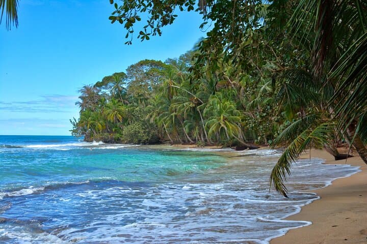 Arenal-to-Puerto-Viejo VIP Transfer: Comfortable Private Shuttle Across Costa Rica photo 4