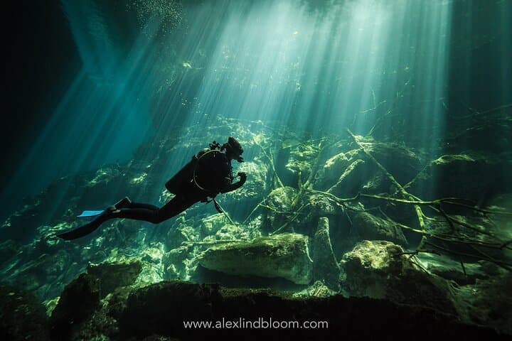 Riviera Maya Cenotes 2-Day Scuba Diving Package — Reefs by Day, Caverns by Light photo 2
