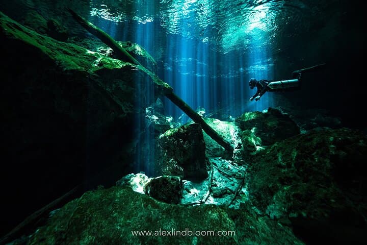 Riviera Maya Cenotes 2-Day Scuba Diving Package — Reefs by Day, Caverns by Light photo 3