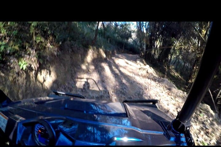 ATV Ride Through Palampur Tea Gardens — 3 km RZR 570 Off-Road Experience photo 4