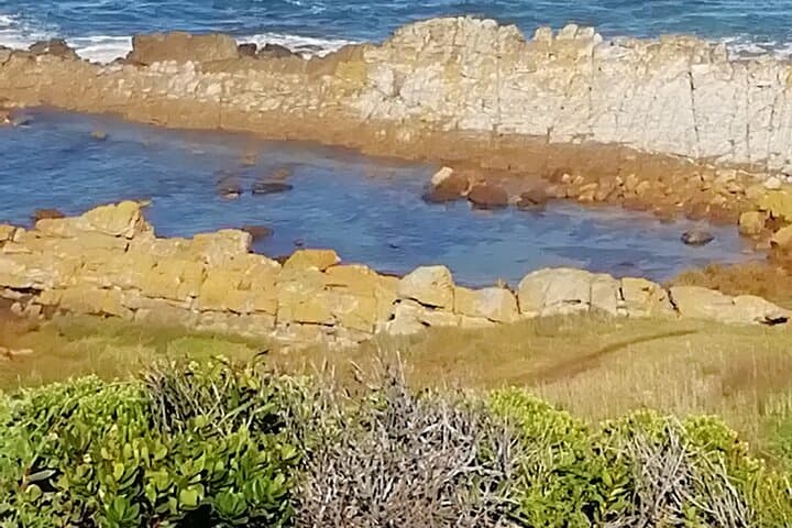 Garden Route Road Trip: Port Elizabeth to Cape Town in 3–5 Days photo 2