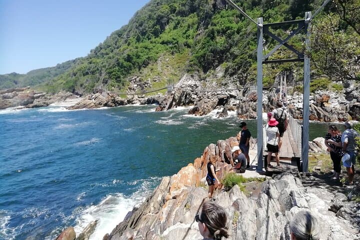 Garden Route Road Trip: Port Elizabeth to Cape Town in 3–5 Days photo 6