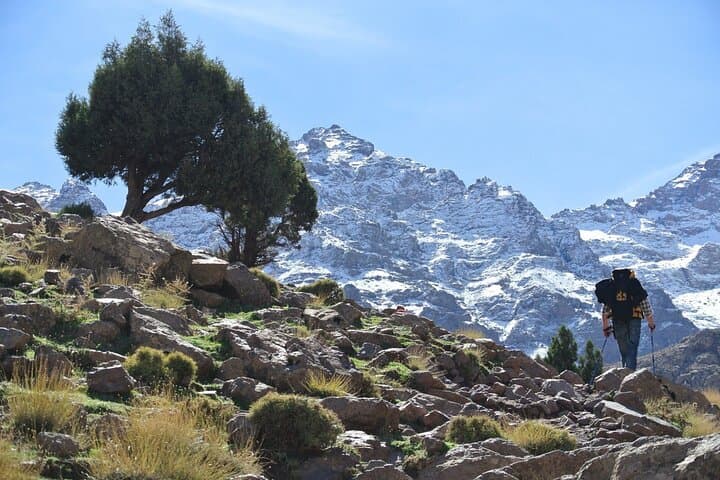 Imlil & Atlas Mountains Day Trip from Marrakech — Berber Trails and Mule Ride photo 6