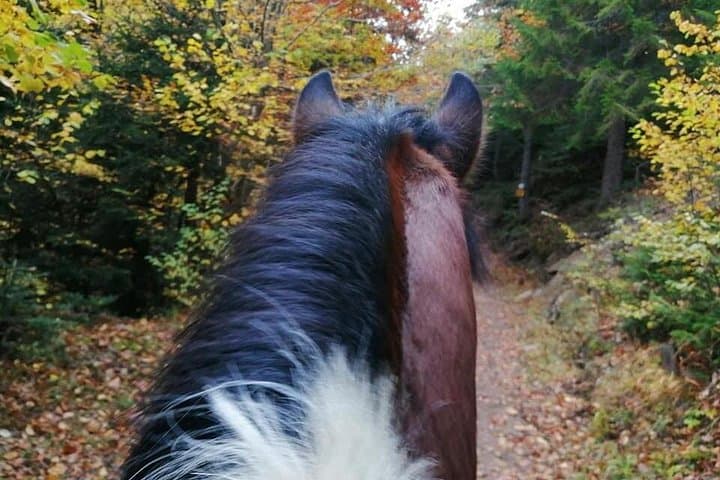 Horseback Ride to Waterfalls Canyon — 1-Hour Private Ride in Smolyan Rhodope Mountains photo 2