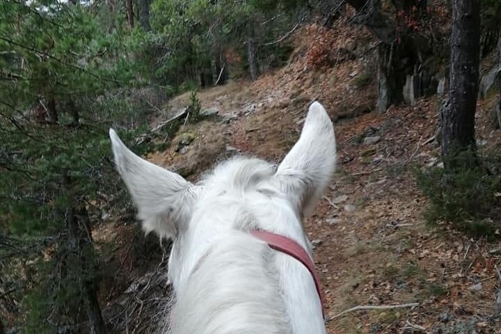 Horseback to the Cascades: 2-Hour Smolyan Waterfall Ride in the Rhodope Mountains photo 2