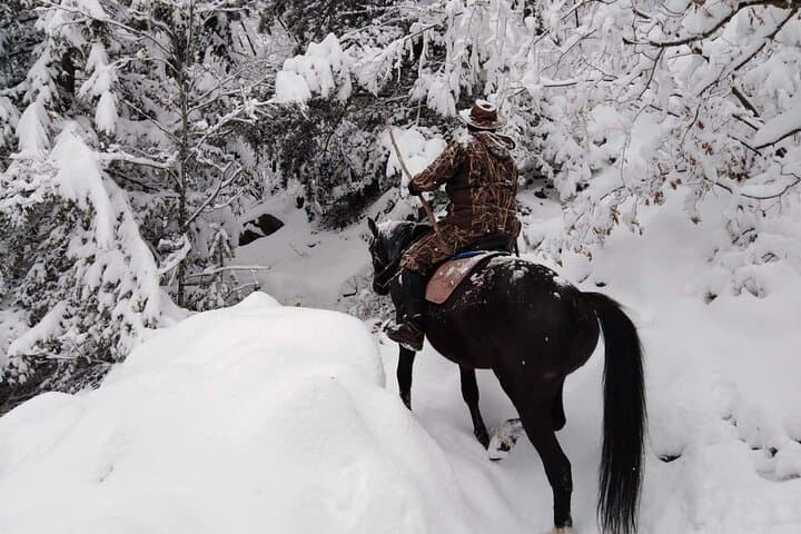 Horseback Ride to Waterfalls Canyon — 1-Hour Private Ride in Smolyan Rhodope Mountains