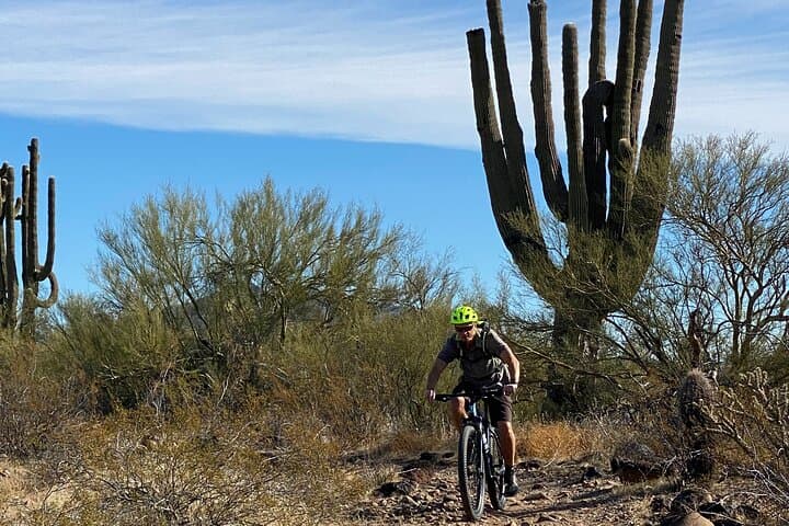 Ride Through the Rugged Beauty of the Sonoran Desert: A Private 3-Hour Guided Mountain Bike Adventure photo 4
