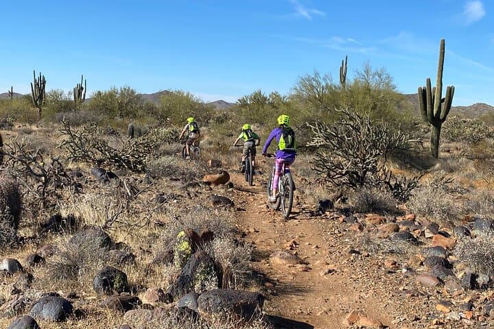 Exploring the Sonoran Desert: A 2-Hour Private Guided Mountain Bike Adventure