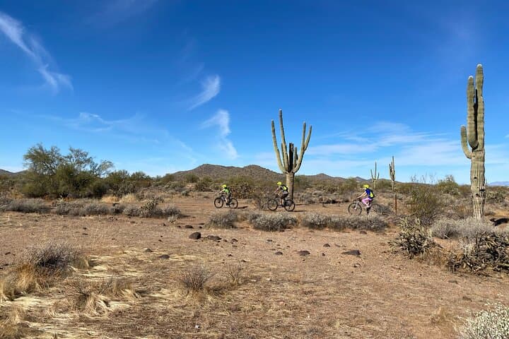 Exploring the Sonoran Desert: A 2-Hour Private Guided Mountain Bike Adventure photo 4