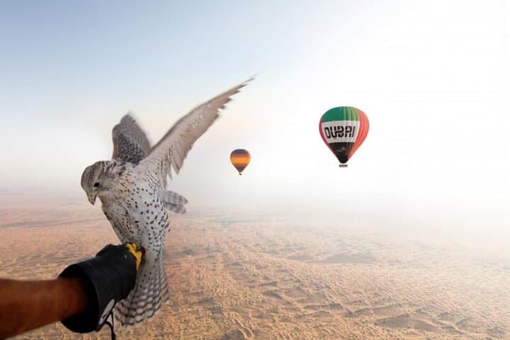 Dubai Desert Hot Air Balloon Ride with Falcon Show & Camel Experience