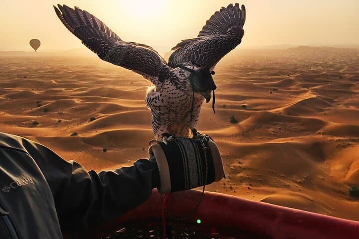 Dubai Desert Hot Air Balloon Ride with Falcon Show & Camel Experience photo 3