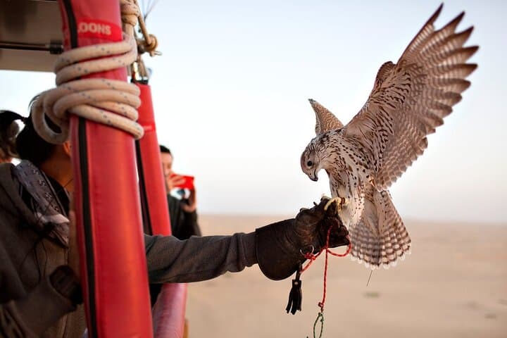 Sunrise Hot Air Balloon & Falcon Show over Dubai Desert Conservation Reserve photo 3
