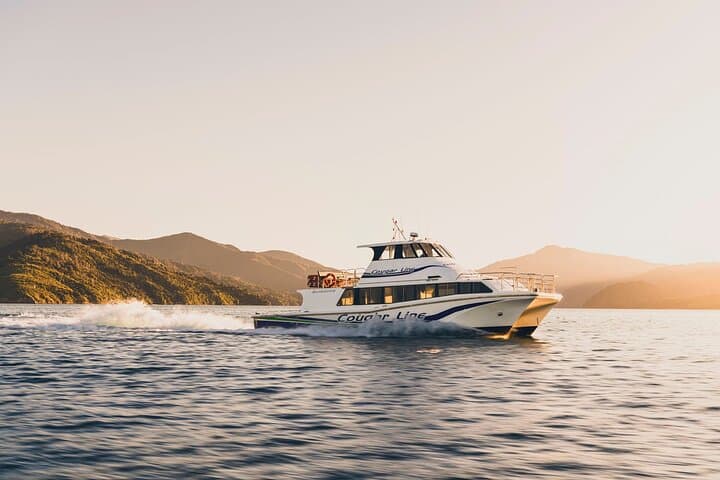 Furneaux Lodge Cruise and Lunch — Queen Charlotte Sound Day Trip photo 3