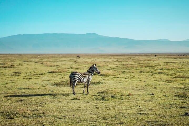 Budget Safari: 4 Days in Serengeti & Ngorongoro Crater photo 3