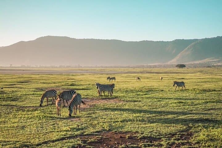 Budget Safari: 4 Days in Serengeti & Ngorongoro Crater photo 4