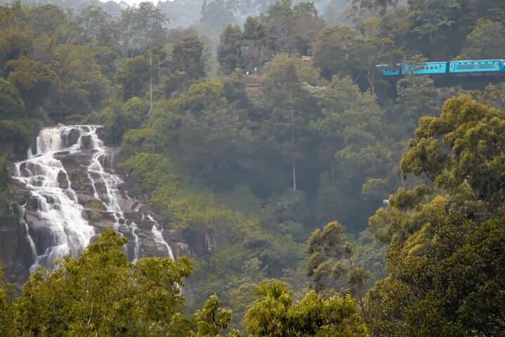 Sri Lanka 7-Day Sightseeing: Kandy, Tea Country & Yala Safari photo 5