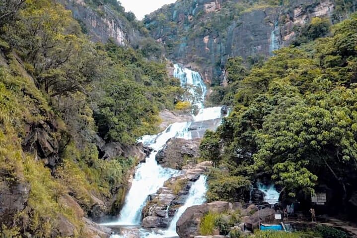 Sri Lanka 7-Day Sightseeing: Kandy, Tea Country & Yala Safari photo 6