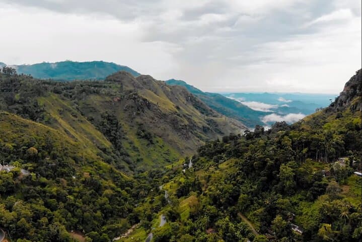 Sri Lanka 7-Day Sightseeing: Kandy, Tea Country & Yala Safari photo 4