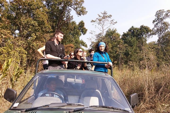 Private Full-Day Jeep Safari in Chitwan National Park — Sauraha Wildlife Experience photo 2