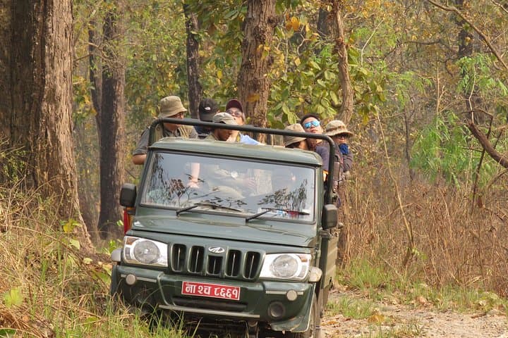 Private Full-Day Jeep Safari in Chitwan National Park — Sauraha Wildlife Experience photo 4