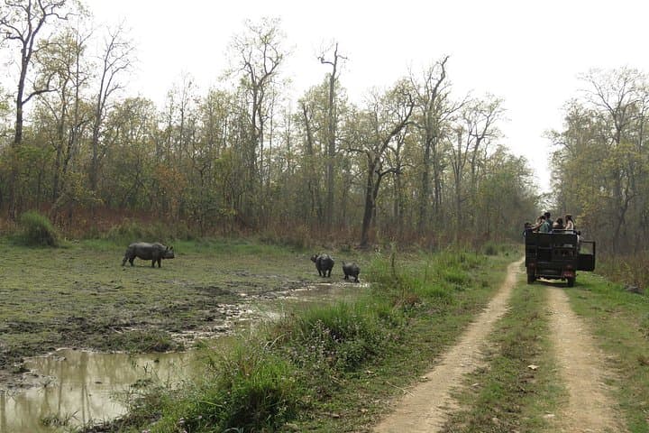 Private Full-Day Jeep Safari in Chitwan National Park — Sauraha Wildlife Experience photo 1