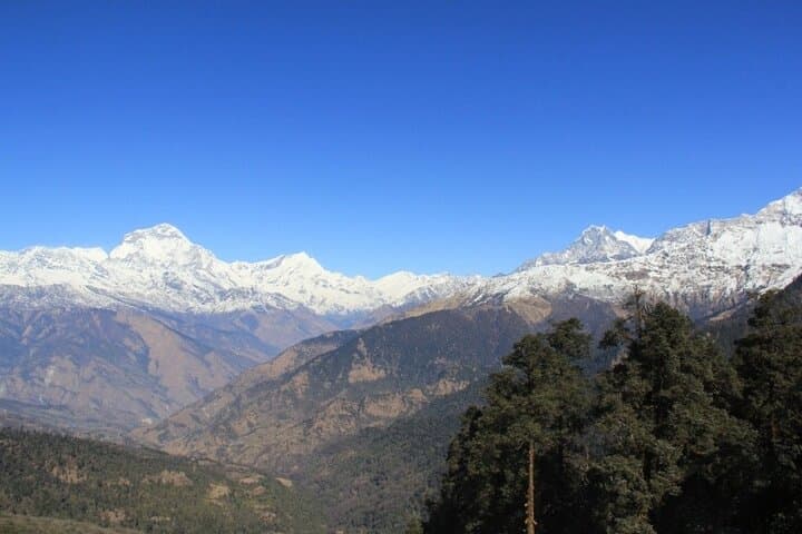 7-Day Short Annapurna Base Camp Trek: Rapid Lodge Trek from Pokhara photo 4