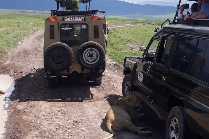 Ngorongoro Crater Day Trip: Wildlife-Rich Safari into Africa’s Largest Intact Caldera photo 6