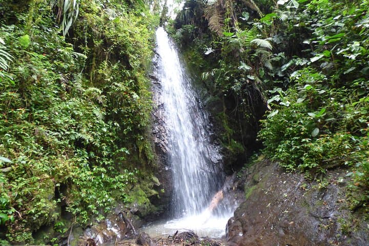 Peaks to Canopy: Active 7-Day Northern Andes and Amazon Adventure photo 2