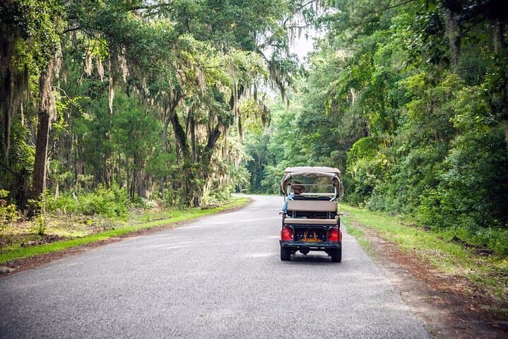 Daufuskie Island Day Trip — Round-Trip Ferry From Hilton Head photo 6