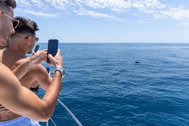 Private Albufeira Yacht Cruise — Dolphins, Benagil & Snorkeling (3‑Hour) photo 6