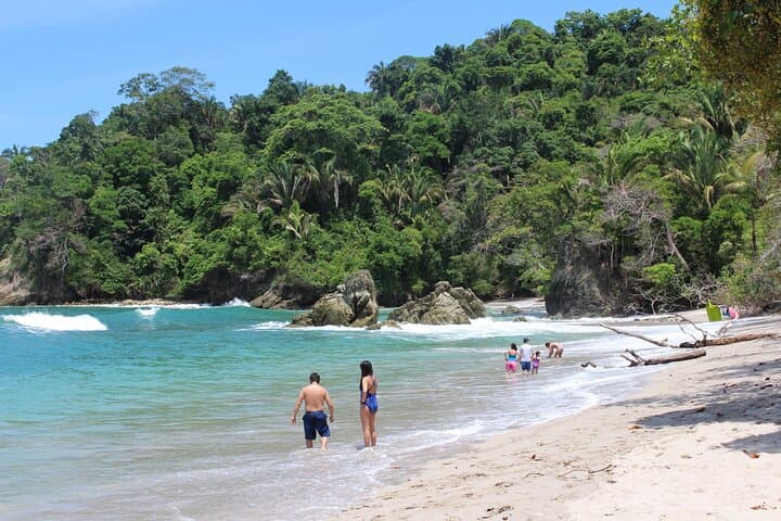 Manuel Antonio Day Trip from San José — Rainforest Trails, Beaches & Wildlife photo 5