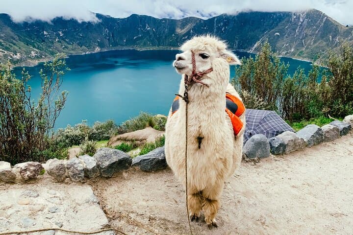 Hiking the Quilotoa Loop: Day Hike Around Ecuador's Crater Lake photo 4
