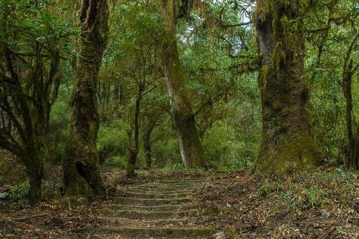 Shivapuri to Nagarkot: 3-Day Hike Above the Kathmandu Valley photo 3