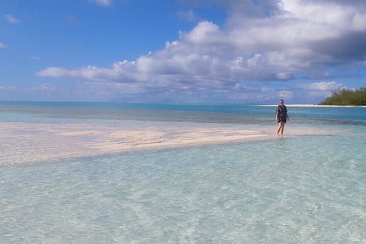 Providenciales Reef, Beach & Sandbar Tour — Snorkel, Iguanas & Sand Dollar Cove photo 2
