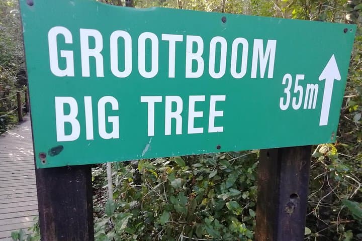 Two-Day Tsitsikamma Adventure from Port Elizabeth: Storms River, Canopy & Suspension Bridges photo 4