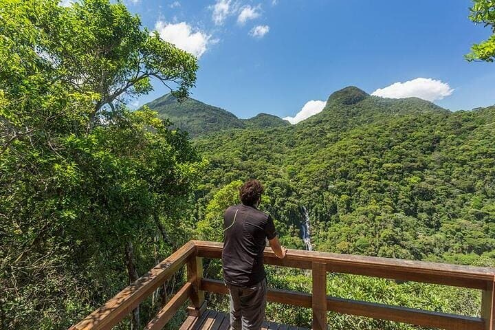 Tijuca Forest Hiking Tour: Waterfalls, Vista Chinesa & Picnic Experience