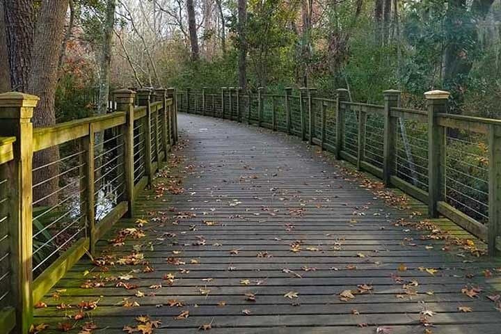 Hilton Head Segway Tropical Pathway Ride — 90-Minute Island Pathways Tour photo 6