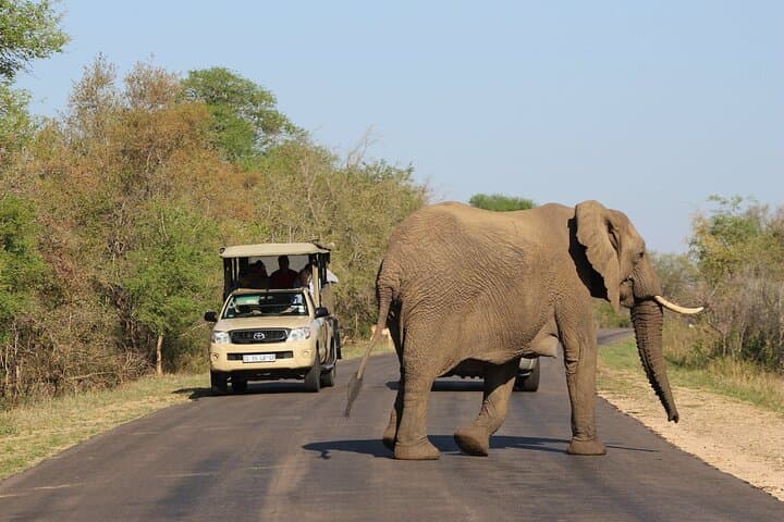 5-Day Kruger Park Classic Safari — Big Five Game Drives & Panorama Route photo 6