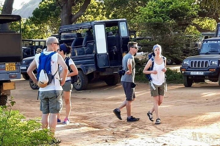Sri Lanka 14-Day Private Sightseeing Tour: Beaches, Tea Hills & Wildlife