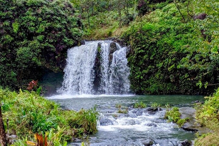 Road to Hāna Small-Group Tour: 10-Hour Coastal Drive to Waterfalls, Black Sand & Hidden Pools photo 3