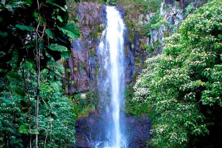 Road to Hāna Small-Group Tour: 10-Hour Coastal Drive to Waterfalls, Black Sand & Hidden Pools photo 5