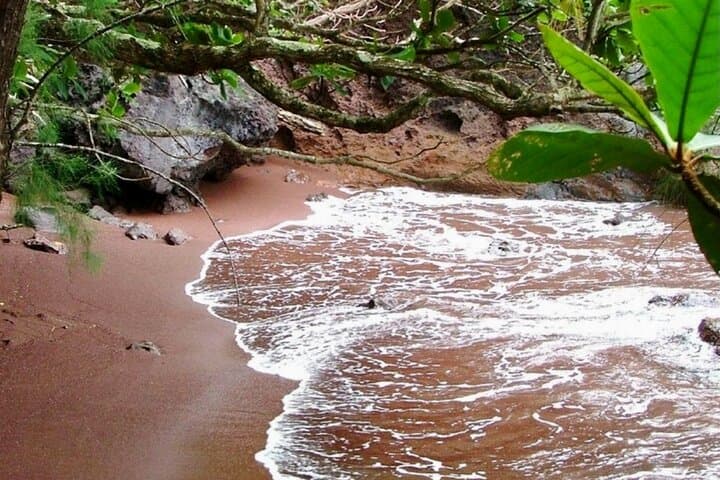 Road to Hāna Small-Group Tour: 10-Hour Coastal Drive to Waterfalls, Black Sand & Hidden Pools photo 6